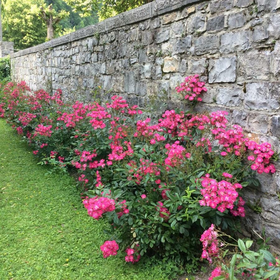La Villa Des Roses Durbuy Exteriér fotografie